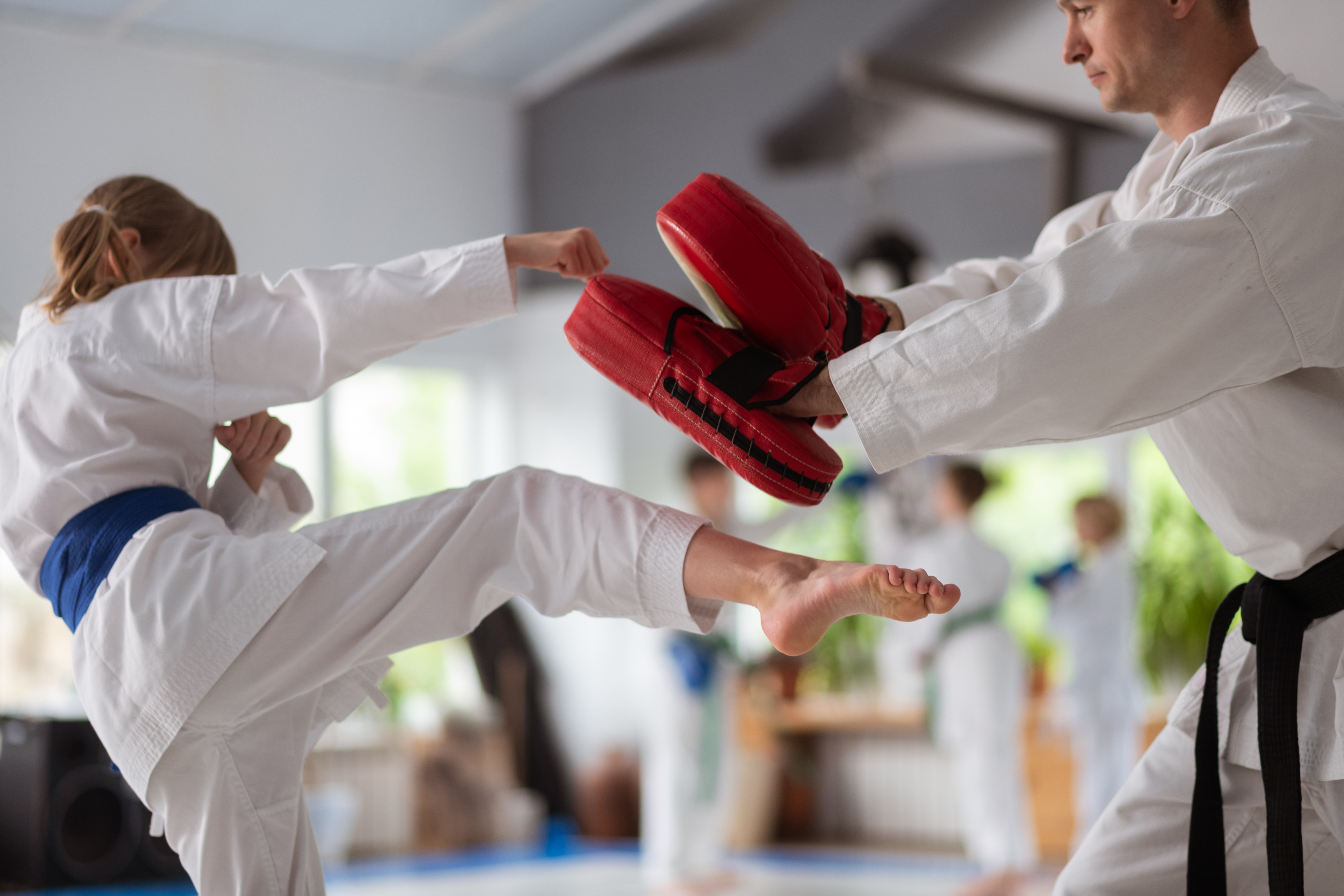 martial arts kicking